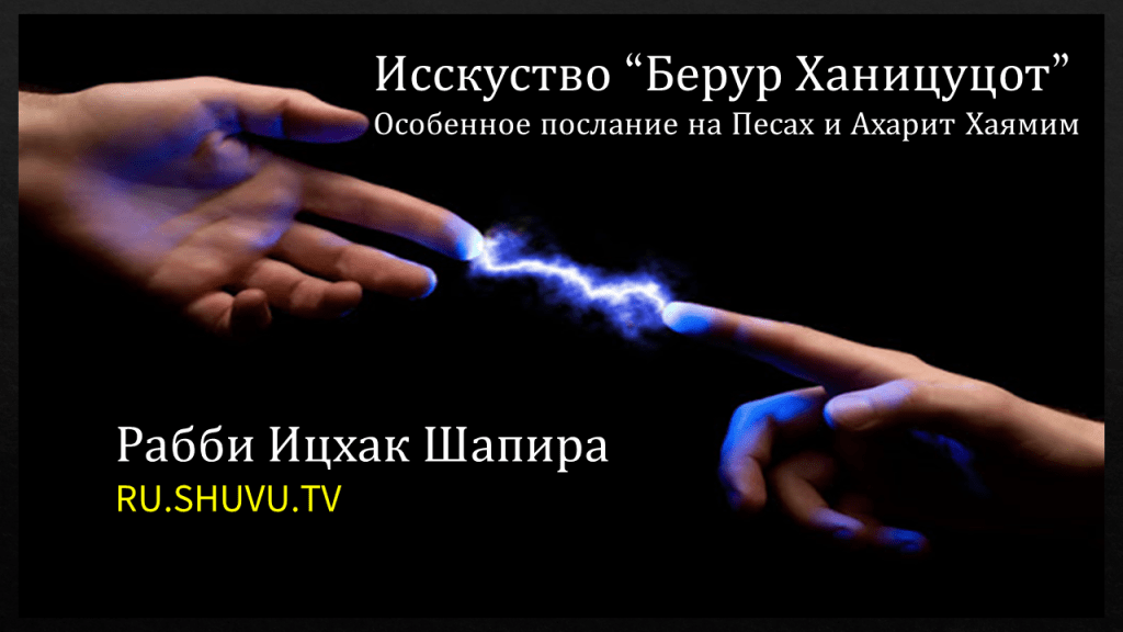 Берур Ха-ницуцот